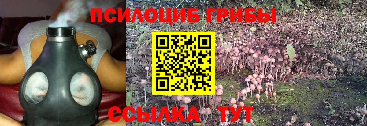 Галлюциногенные грибы Psilocybine cubensis  Псилоцибиновые грибы Magic Shrooms  Вход с VPN  Белореченск 